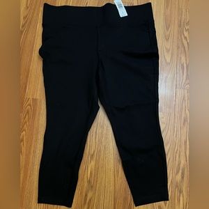 Torrid Pixie Ponte Pants NWT!